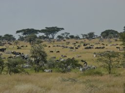 Western_Corridor_(Kirawira)2003-061